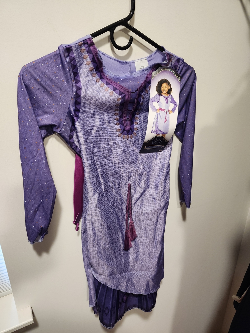 Disney Wish Costume